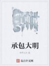 承包大明